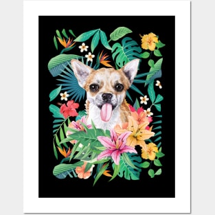 Tropical Short Haired Fawn and White Chihuahua Posters and Art